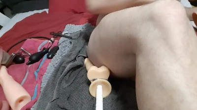 Analversaut86 from Germany