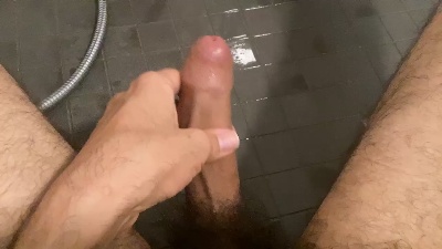 Fips19 from Austria