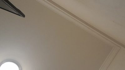 MAGICDICK20 from Portugal
