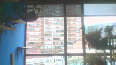 chazjjj from Colombia