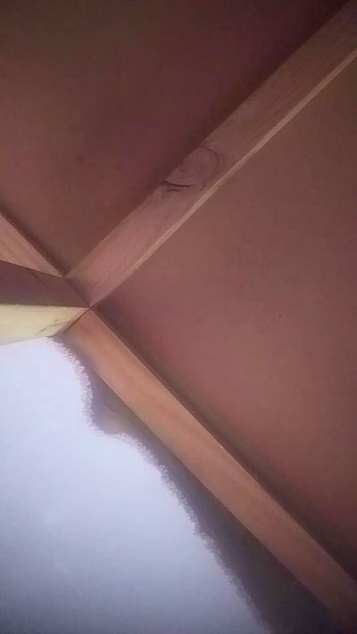dulcevita_sexy from Chile