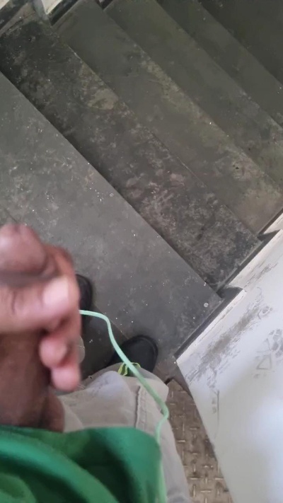 snpdps from Brazil